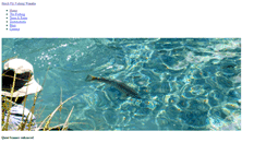 Desktop Screenshot of hatchfishing.co.nz